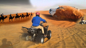 Desert Safari Activities